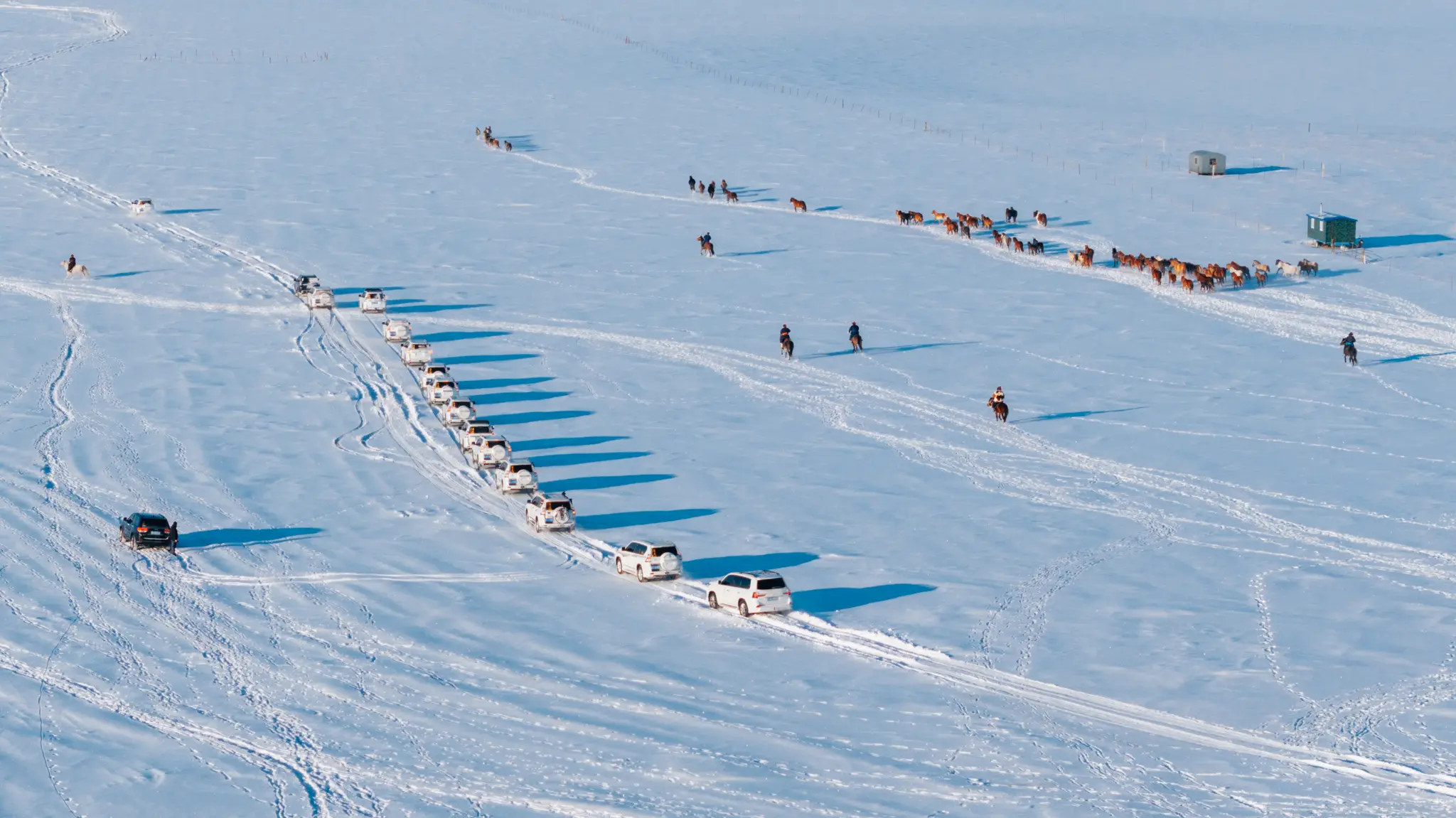 DJI_20250121151635_0053_D.webp