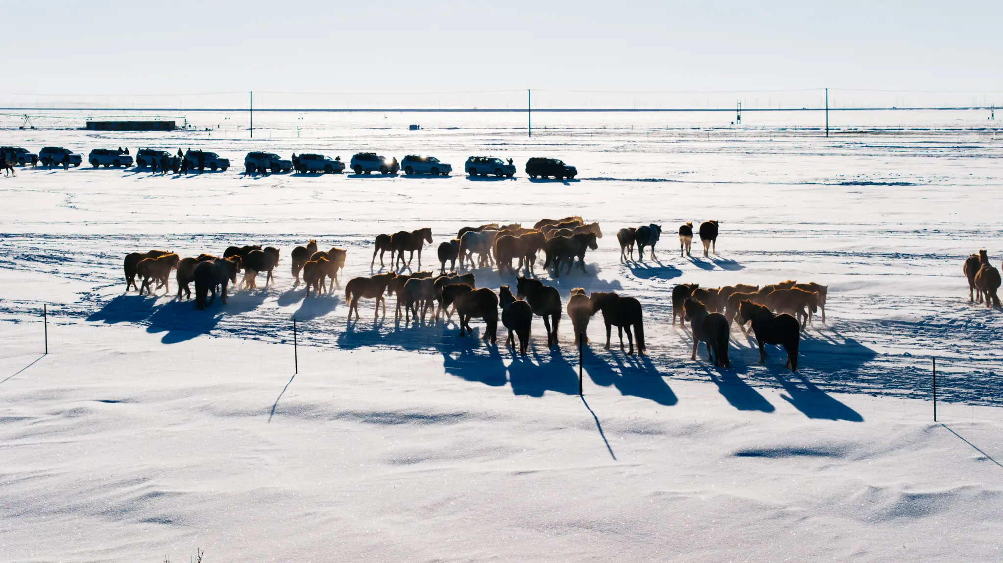 DJI_20250121152410_0083_D.webp