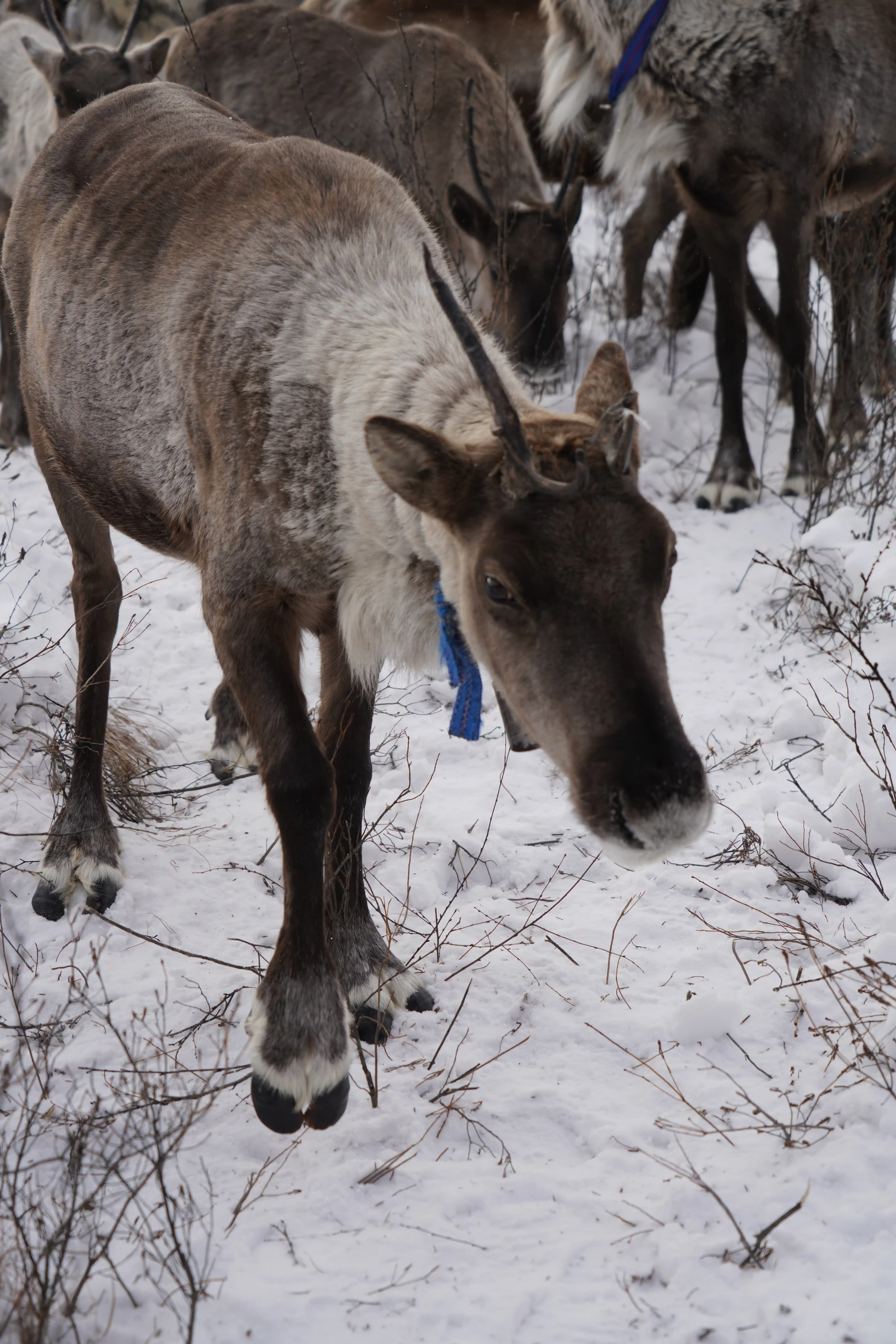 DSC00434.webp