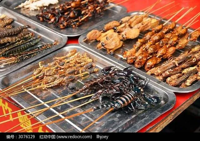 雲南當地用蝎子、蚱蜢等昆蟲製作的燒烤串,擺放在托盤中