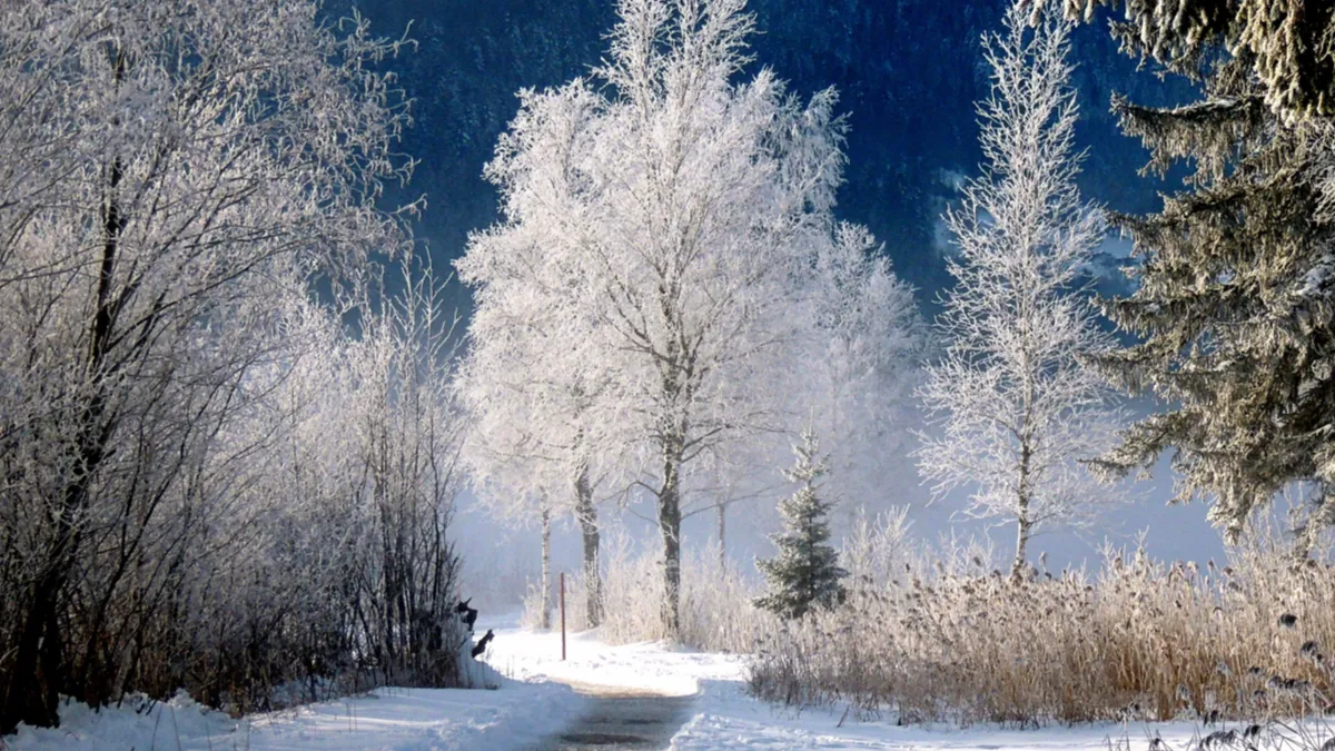 雪景色