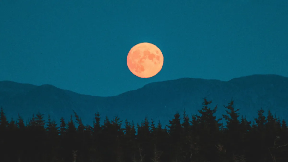 file-f1d263ac58.webp